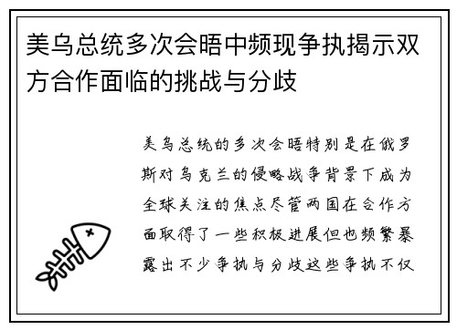 美乌总统多次会晤中频现争执揭示双方合作面临的挑战与分歧