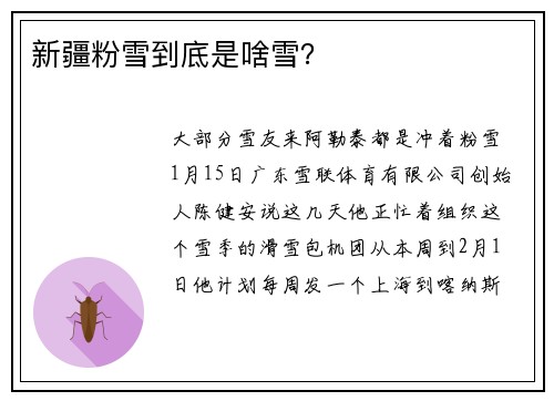 新疆粉雪到底是啥雪？