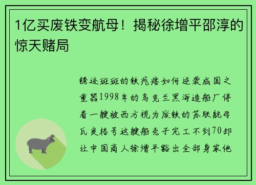 1亿买废铁变航母！揭秘徐增平邵淳的惊天赌局