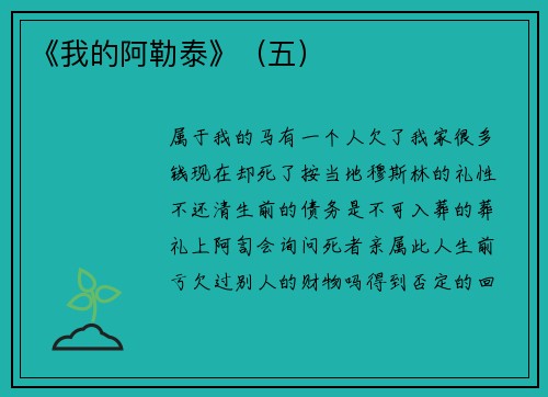 《我的阿勒泰》（五）