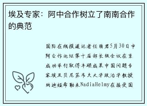 埃及专家：阿中合作树立了南南合作的典范